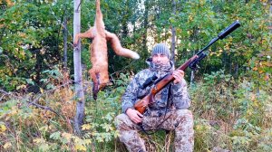 ОХОТА НА ЛИСУ СРЕДИ КОРОВ / ПРИШЛОСЬ БРАТЬ С ПОДХОДА / КАРАБИН ЛОСЬ + ТЕПЛОВИЗОР АЛЬФА 2 АРКОН.