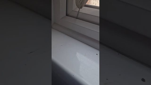 window stuck shut try this it works #diy #hacks #upvcwindows #locksmith #tipsandtricks смотреть онлайн