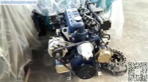 Alexerpower Quanchai ZH490Y4 Diesel Engine