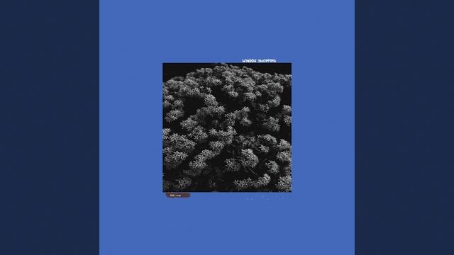 Window Shopping смотреть онлайн