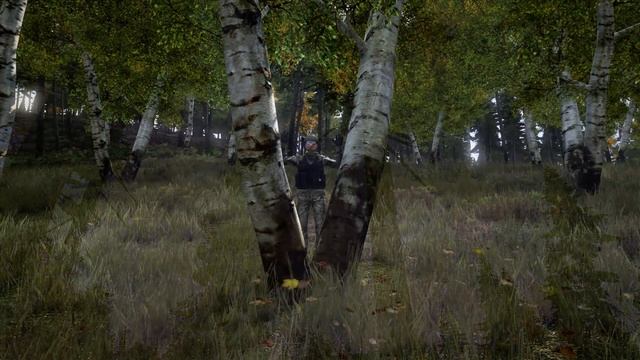 Ночной стрим с PlayGod | Стычка с читаками | DayZ SA смотреть онлайн