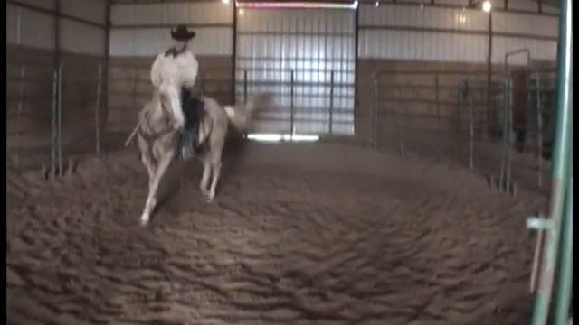 jacspin filly смотреть онлайн