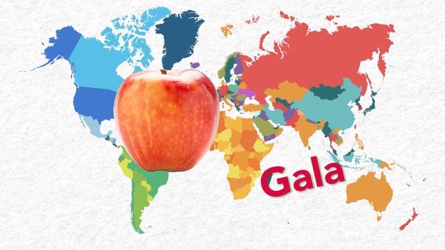 History of Washington Apple Varieties смотреть онлайн