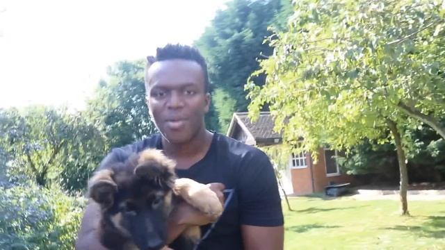 KSI IS FINALLY HERE смотреть онлайн