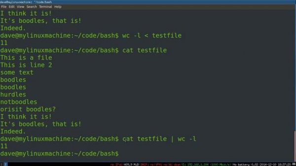 Bash Scripting 2 -- Bash Basics