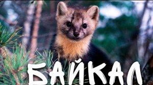 ПО СЛЕДАМ ЗАПОВЕДНОЙ ИСТОРИИ/ БАЙКАЛ/ БАРГУЗИНСКИЙ ЗАПОВЕДНИК