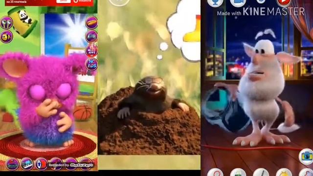 Talking Harry Vs little cat Vs talking BOOBA 2 смотреть онлайн