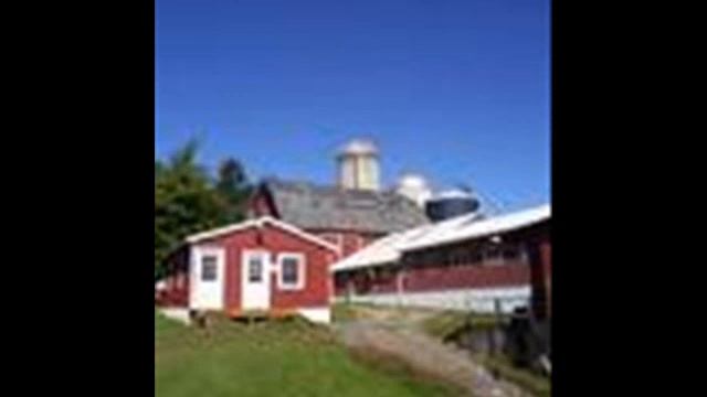 Old MacDonald Had A Farm