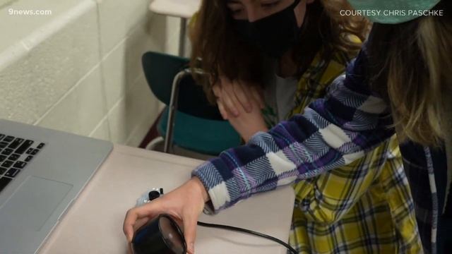 Colorado student finds owl outside classroom window смотреть онлайн