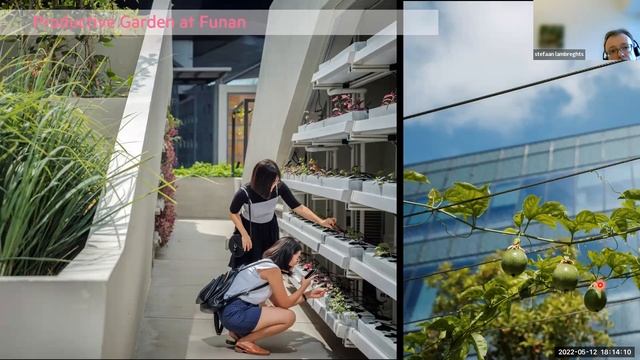 Urban/Landscape Innovations in Singapore смотреть онлайн