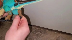 Unboxing the AMAZING Beasts of the Mesozoic linheraptor!