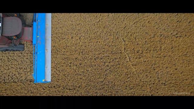 CVS32 Shelbourne Stripper Header and Cross Slot Drill смотреть онлайн