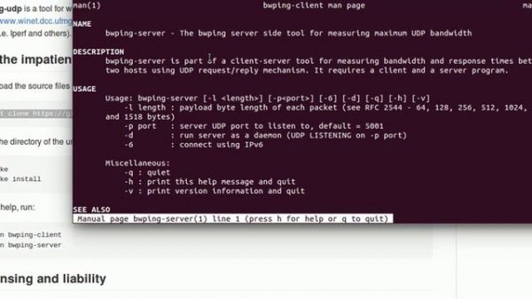 bwping-udp: a tool for network performance measurement