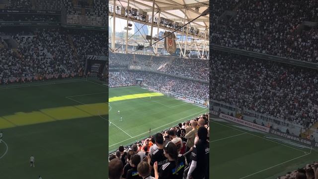 Başin öne eğilmesin Aldirma kartal #beşiktaş #asyakartalları #carsi #karakartal #asya #besiktas смотреть онлайн