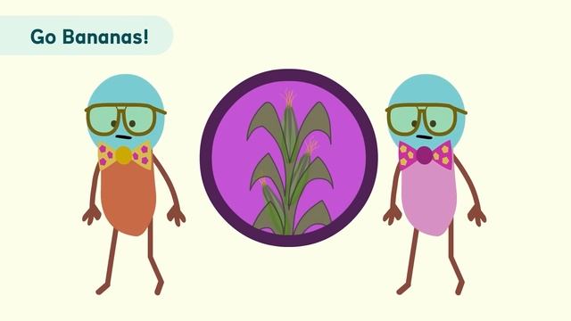 Bananas Bananas Bananas! | Scratch Garden