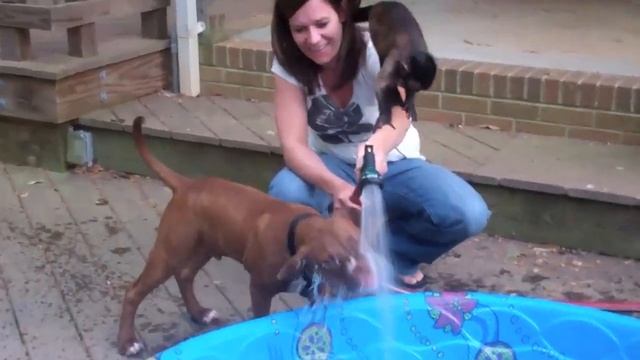 MAC EATS WATER смотреть онлайн