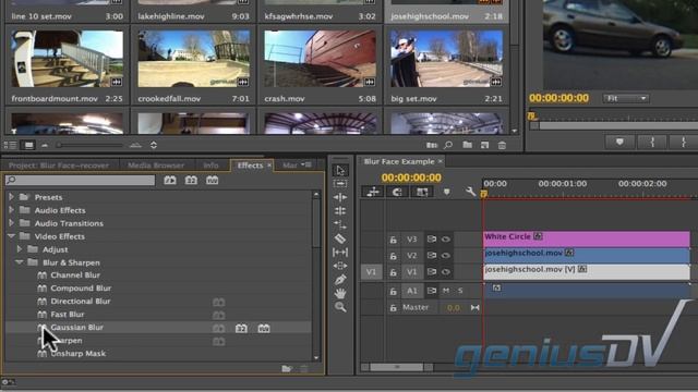 Adobe Premiere Blur a Person's Face смотреть онлайн