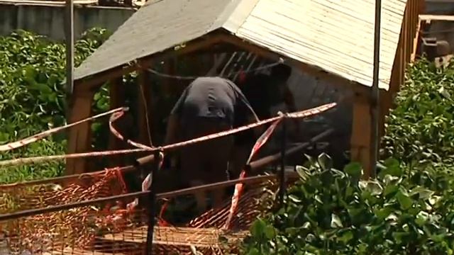 JEFE DE PREFECUTRA FORMOSA Y LA ALTURA DEL RIO смотреть онлайн