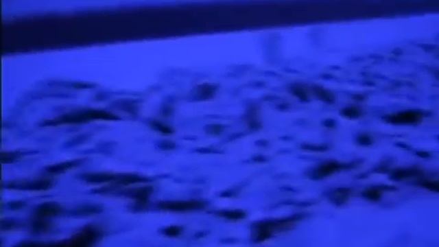 fmx suzuki rm 250 / yamaha yz 250 f смотреть онлайн