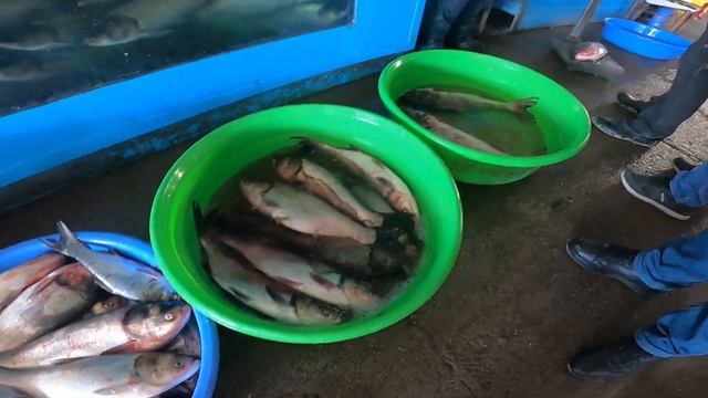 Most Cheapest Market of Tashkent 🇺🇿 смотреть онлайн