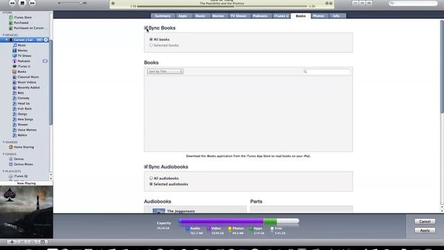 iTunes 9.2 Beta смотреть онлайн