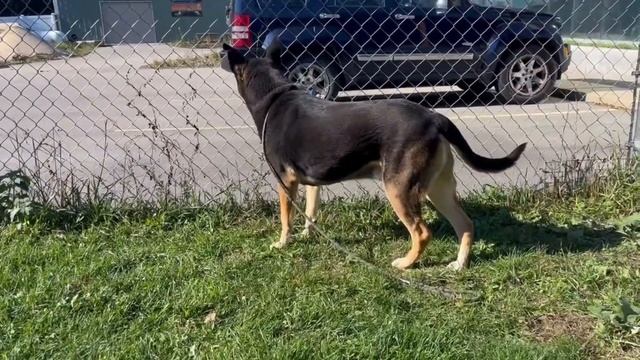 Meet Mac смотреть онлайн
