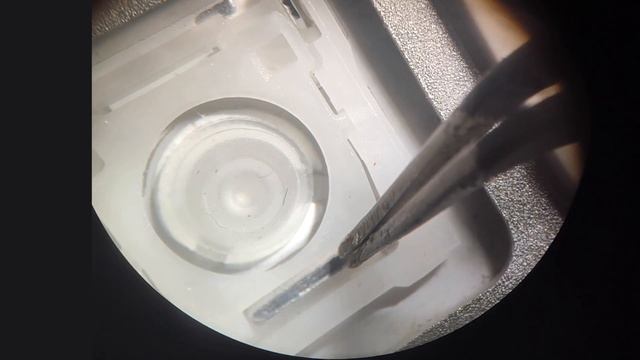 TUTO : Nettoyer un clavier sans fil Apple Wireless Keyboard (+ vue mécanisme au microscope !) смотреть онлайн