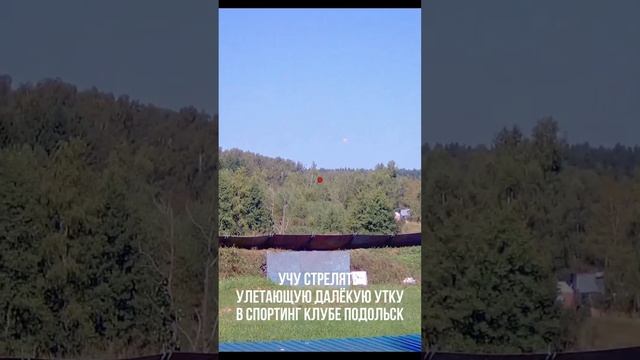 Учу стрелять далёкую улетающую утку в Спортинг клубе Подольск смотреть онлайн