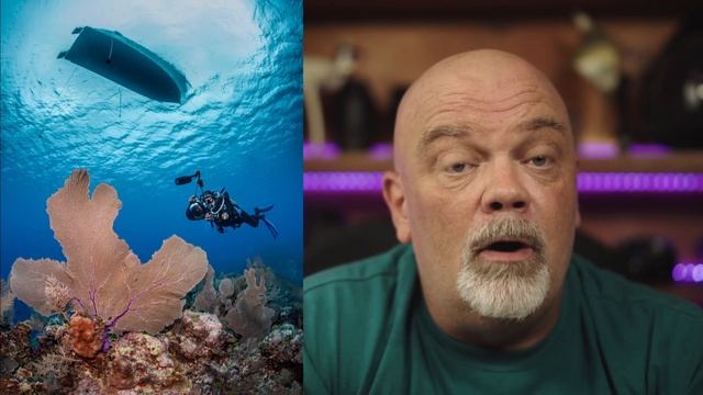 How to make great underwater wide angle pictures смотреть онлайн