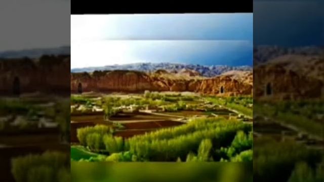 تراجوت شاخ شمشاد آفریده خواننده غلام رضا عباسی смотреть онлайн