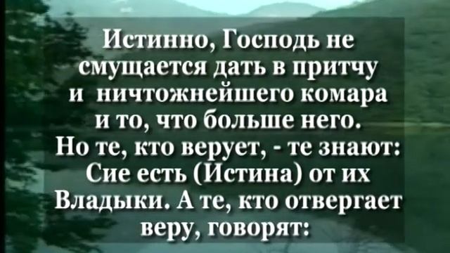 Тайны мозга человека вкус и запах - 3/4 смотреть онлайн