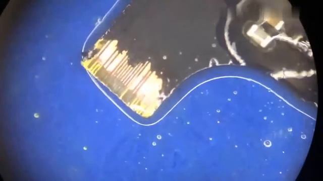 Fix iPhone 8 Plus Touch ID - Home Button Repair смотреть онлайн