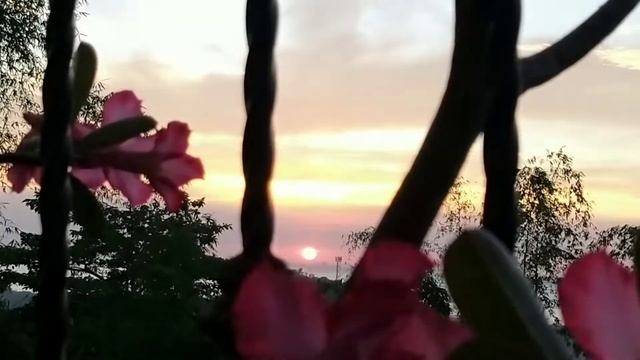 Sunset... beautiful view from my window... like my mother смотреть онлайн
