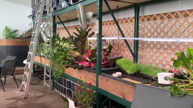 The Most Efficient Greenhouse on Earth | $100 a year to heat in -40C with Sand Battery Thermal Mass смотреть онлайн