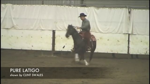 2010 ASB Tom Balding Bridel Spectacular - Open Champs смотреть онлайн