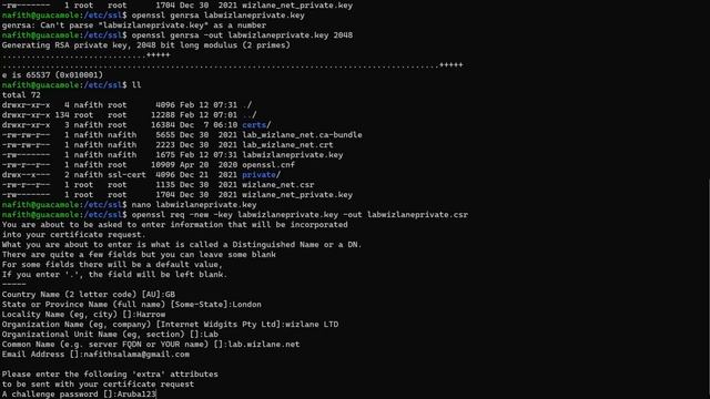 Ubuntu Linux Public CA certificate installation смотреть онлайн