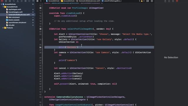 Access Camera & Photo Gallery in Swift - iOS Development смотреть онлайн