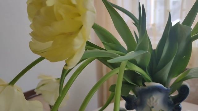 Поздравление для женщин!!! смотреть онлайн