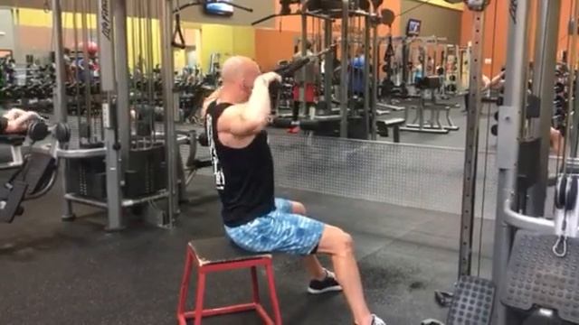 Seated Face Pull смотреть онлайн