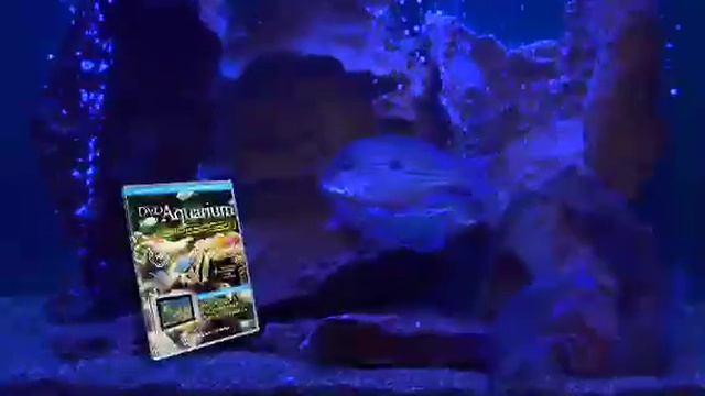 DVD Aquarium Widescreen смотреть онлайн