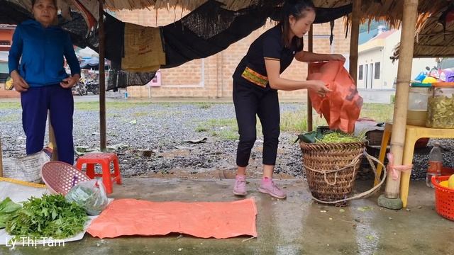 Gac Fruit Harvest & Papaya Flower, Snails Goes to the market to sell | Ly Thi Tam смотреть онлайн