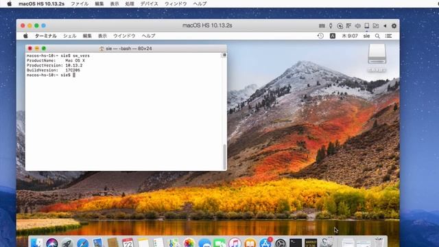 macOS 10.13 High Sierra Disk Utility Password bug смотреть онлайн