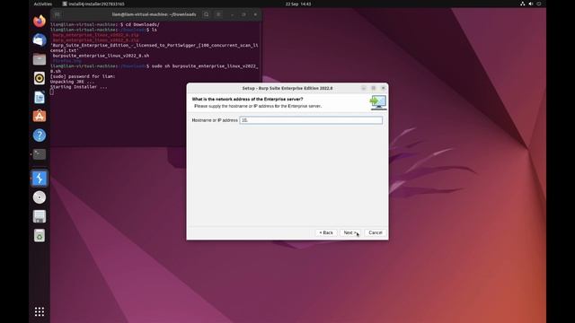 Deploying additional scanning machines in Burp Suite Enterprise Edition смотреть онлайн