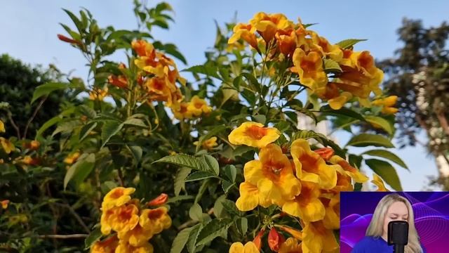 Многодетная вдова-таксистка оцепенела, увидев записку на заднем сиденье такси. И прочитав... смотреть онлайн