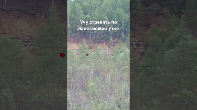 Учу стрельбе по налетающей утке смотреть онлайн