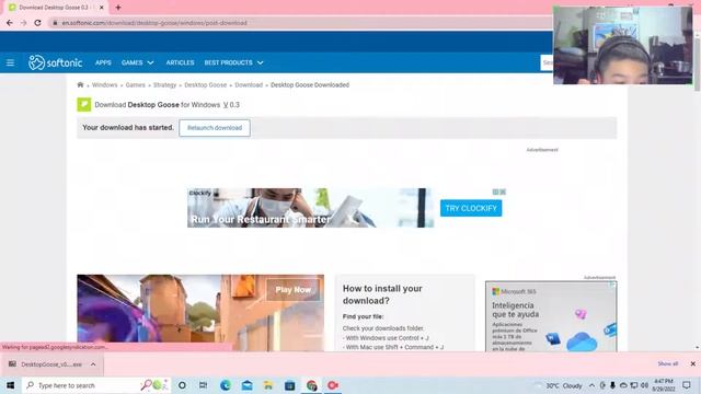 How To Download Desktop Goose In 2022 смотреть онлайн