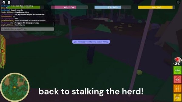 Amazon Ascension || Jaguar follows and hunts prey