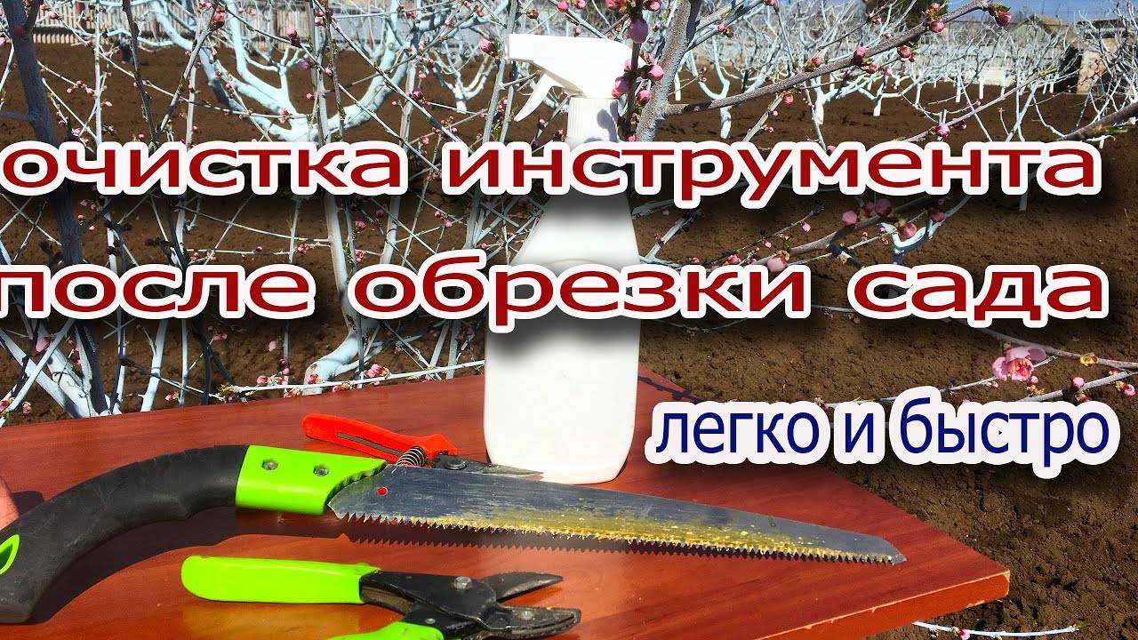 Удаляем смолянистый налет на садовых инструментах⧸легко и быстро смотреть онлайн