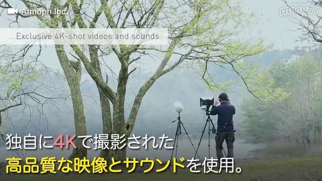 世界中の美しい景色を表示できるデジタル窓 「Atmoph（アトモフ） Window」 смотреть онлайн