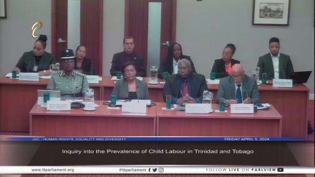 19th Meeting - JSC Human Rights, Equality and Diversity - April 3, 2024 - Child Labour смотреть онлайн